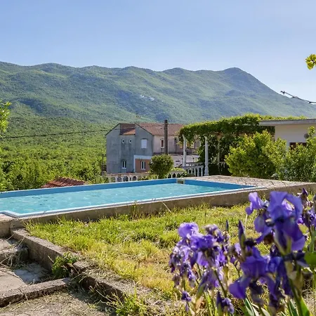 Vila Relax Summer House
